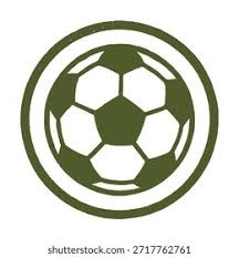 专业足球场！南方财经：深圳新鹏城新赛季首个主场已出票近3万张